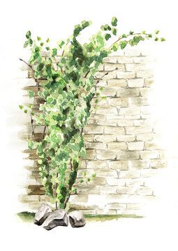 a watercolor painting of two shoes and a plant in front of a brick wall