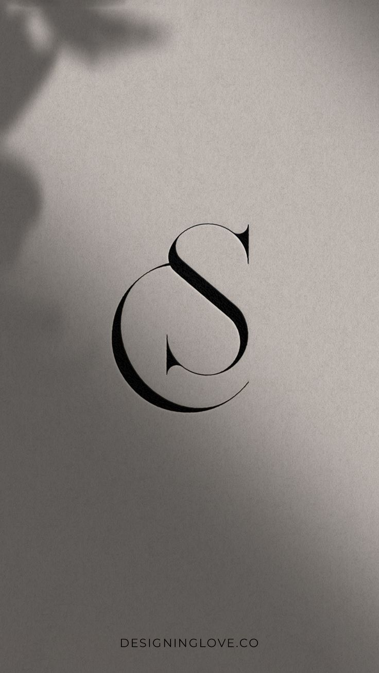 a black and white photo of the letter s on a gray background with shadow overlay