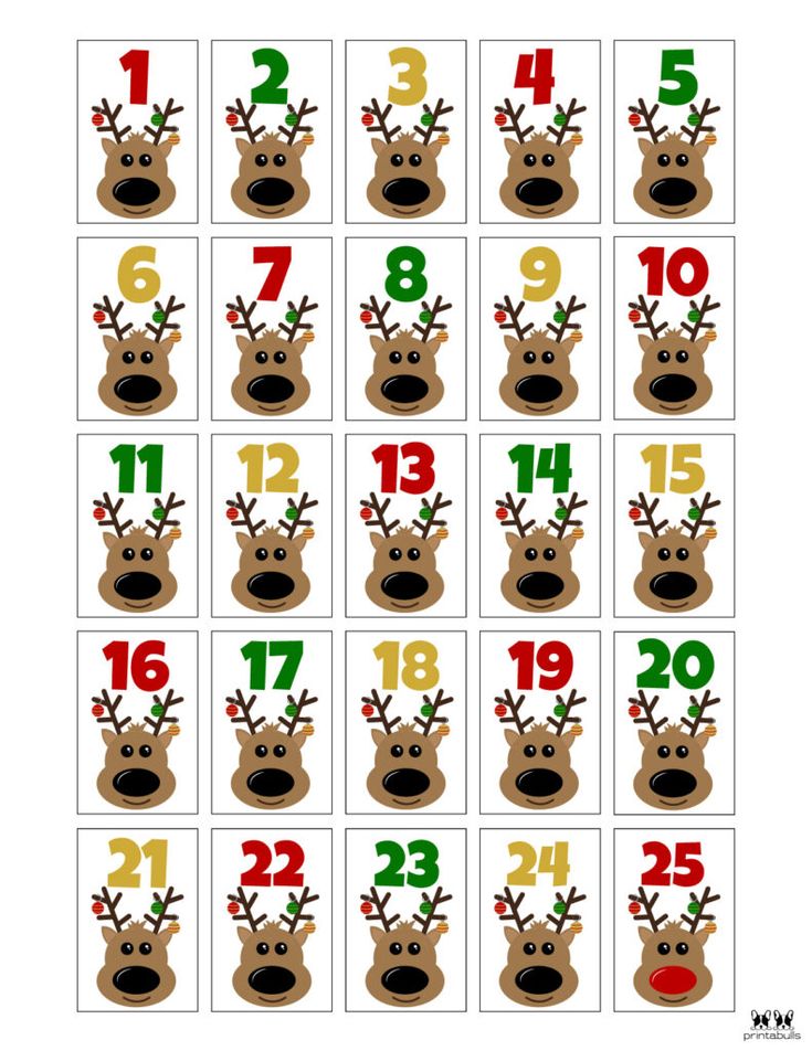 a christmas themed number chart with reindeers and numbers for each child's age