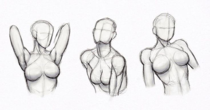 Female Upper Body Drawing Reference, Female Drawing, Human Figure Drawing, Anatomy Sketches, Body Reference Drawing, Anatomy Drawing, Concept Art Drawing, Figure Drawing Reference, Body Drawing