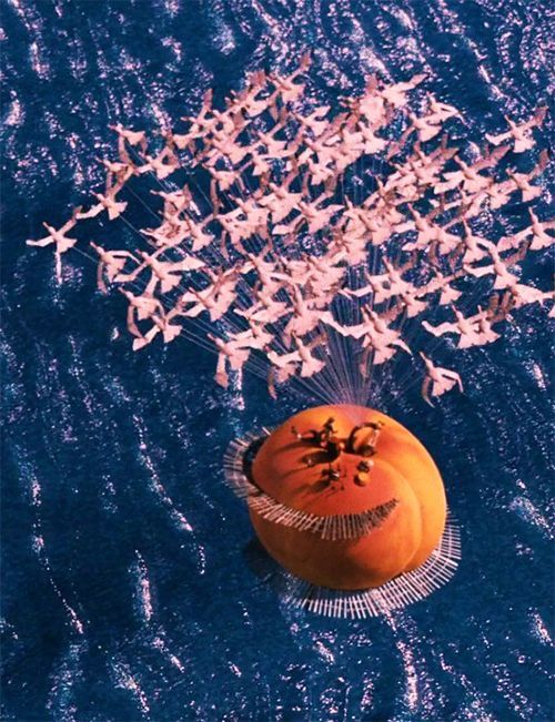 an orange object floating in the water with many white birds flying around it and on top of it