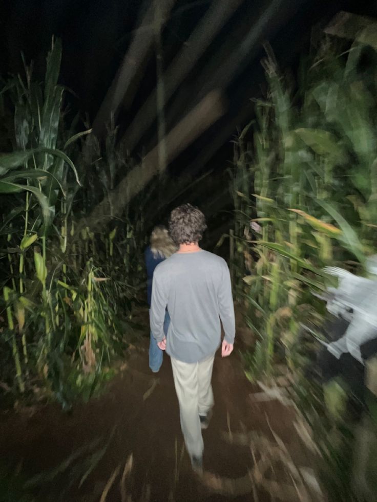 a man walking down a path in the middle of a forest at night with his back to the camera