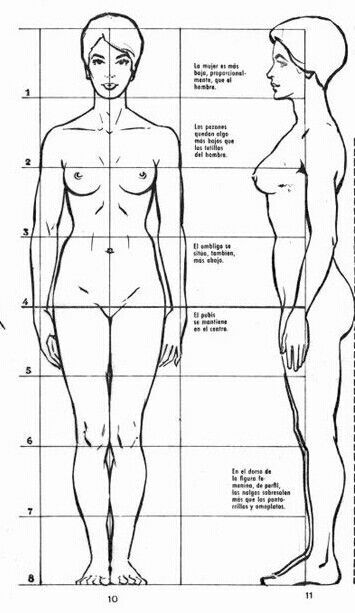 an image of a man and woman's body, with measurements for each individual