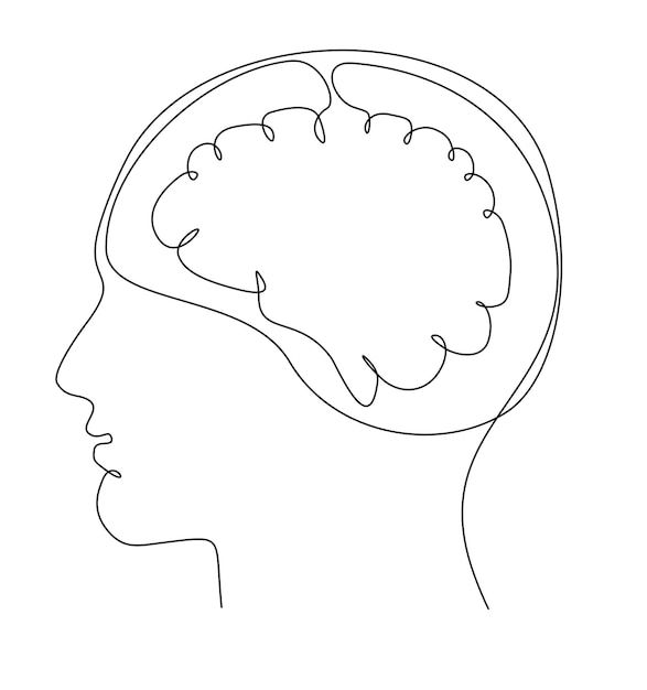 a line drawing of a human head with the brain in it's side view