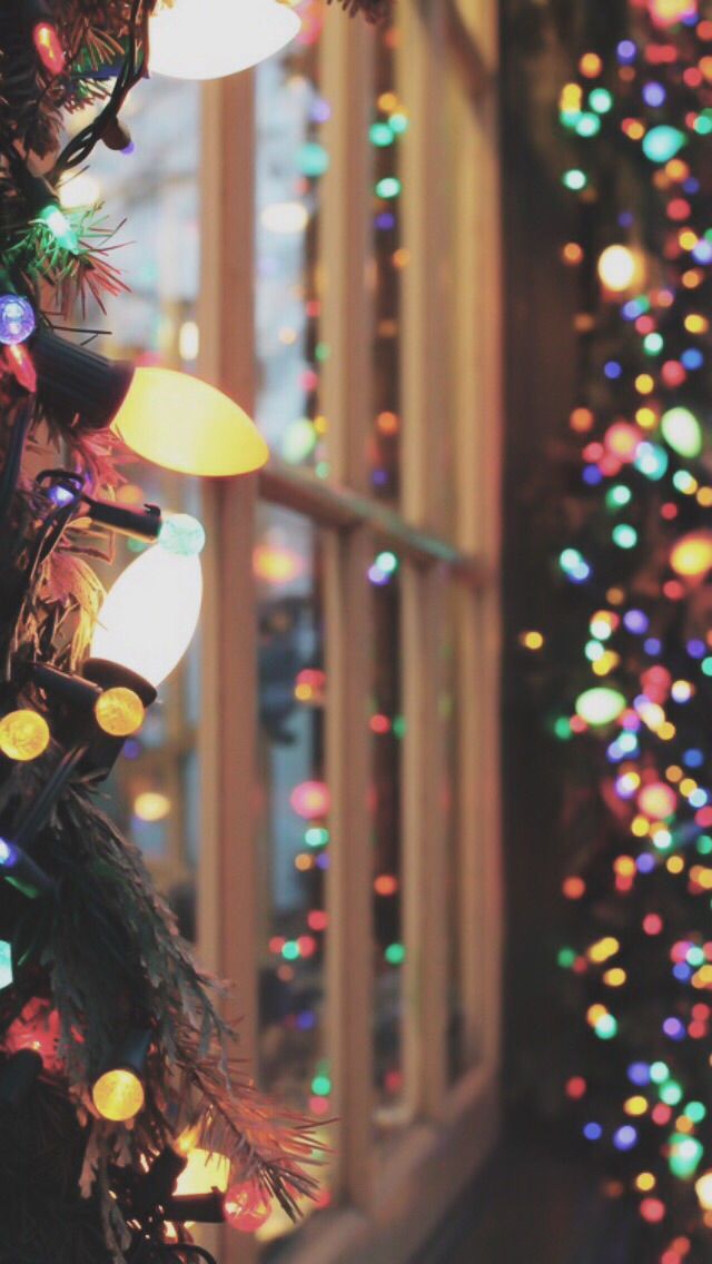 christmas lights are hanging from the side of a building in front of a large window