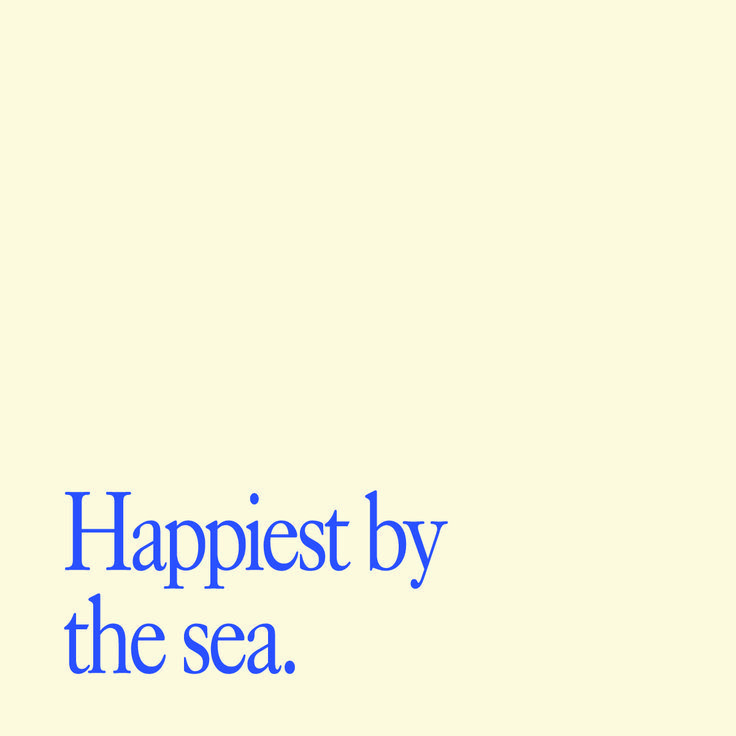 an airplane is flying in the sky and it says happiest by the sea