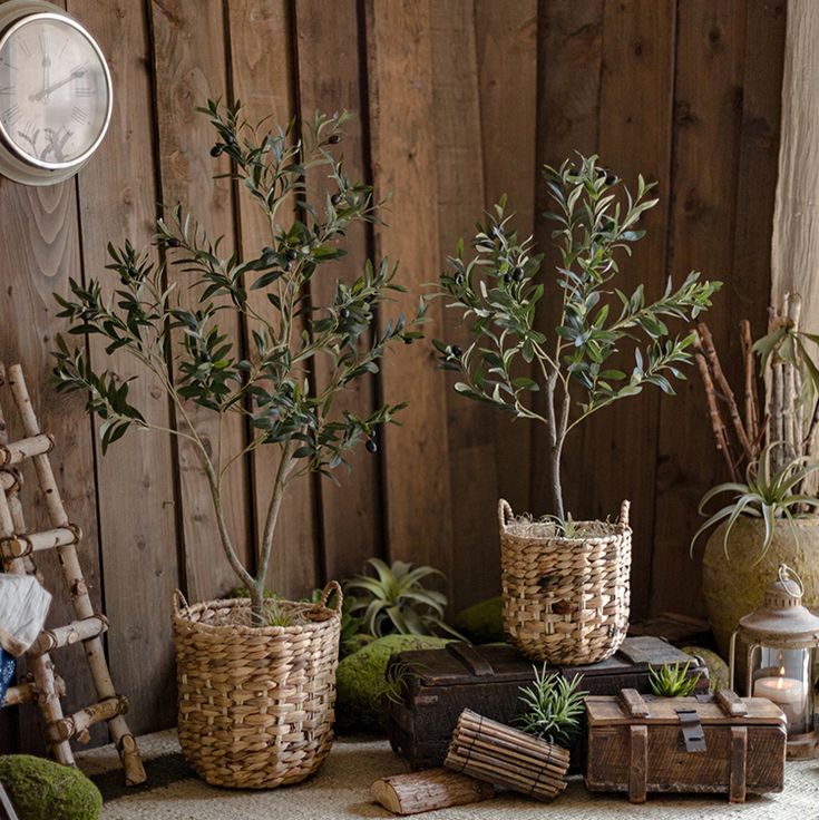 three baskets with plants in them sitting on a table next to a clock and ladder