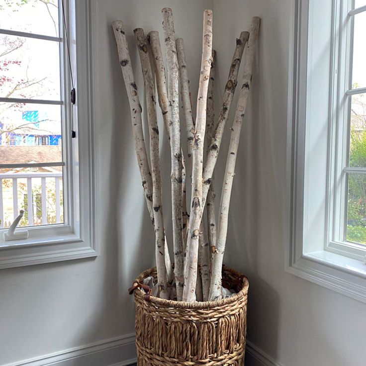 a basket filled with lots of sticks next to a window in a room that has white walls