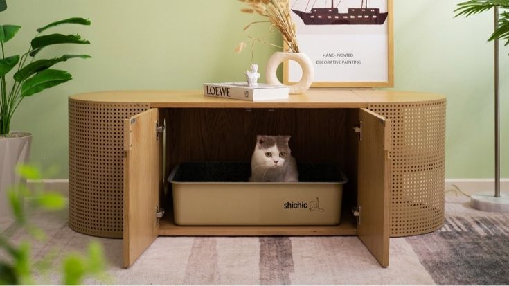 Shichic | Modern Cat Furniture & Hidden Litter Boxes