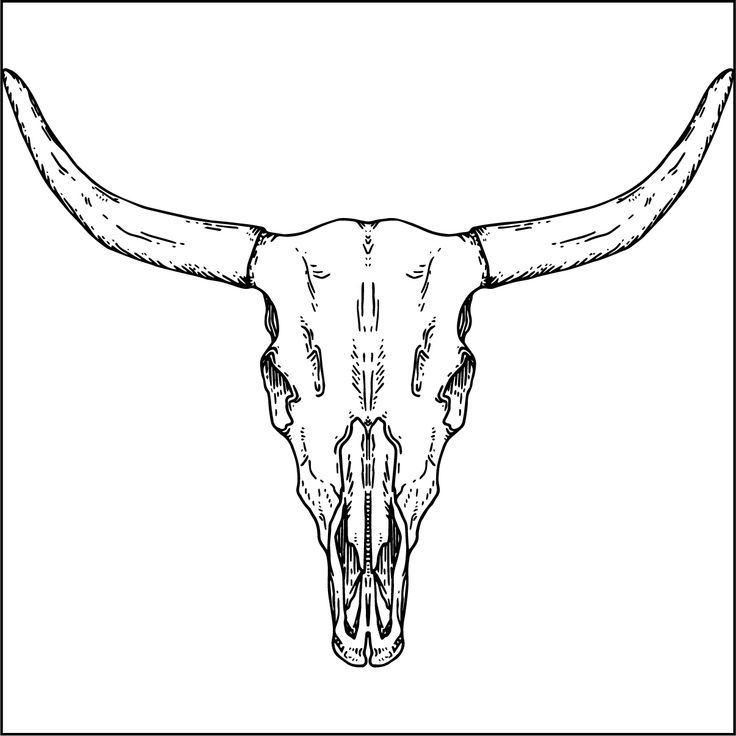 a bull's skull with long horns is shown in this black and white drawing