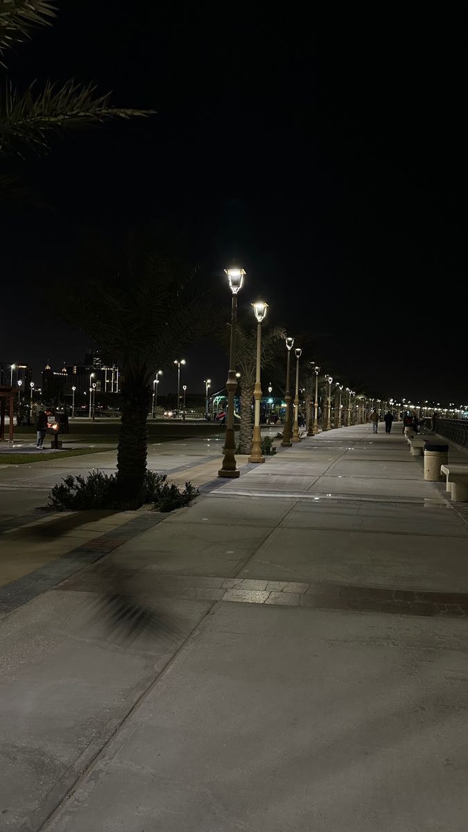 an empty street at night with lights and palm trees