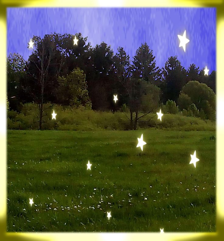 stars in the sky over a grassy field with trees and bushes behind it, as seen through a yellow frame