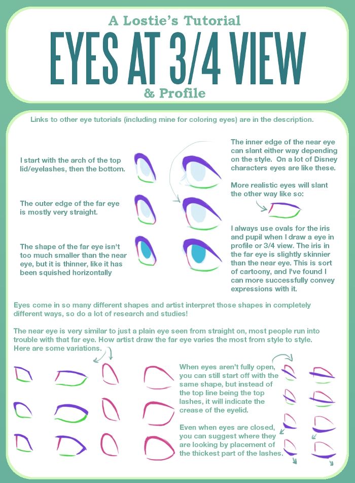 the instructions for how to draw eyes at 3 / 4 view and profile in adobe