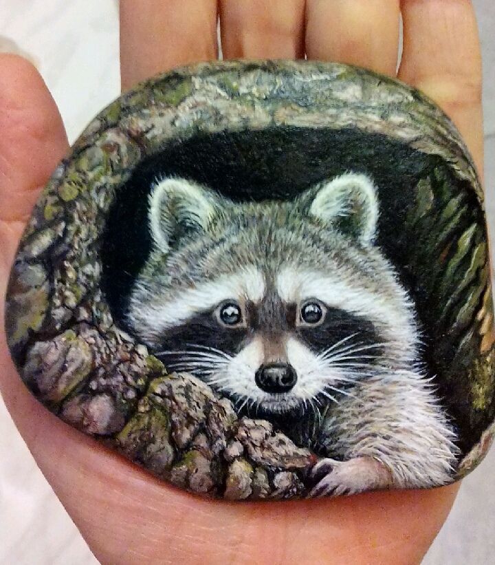 a painting of a raccoon in a rock