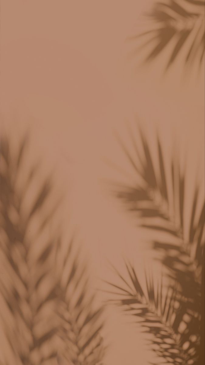 the shadow of palm leaves on a brown and beige background is seen in this image