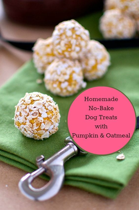 homemade no - bake dog treats with pumpkin and oatmeal for dogs