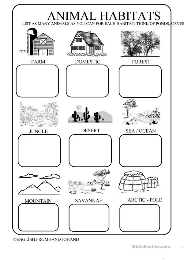 an animal habitat worksheet for kids to learn about the animals and their habitats