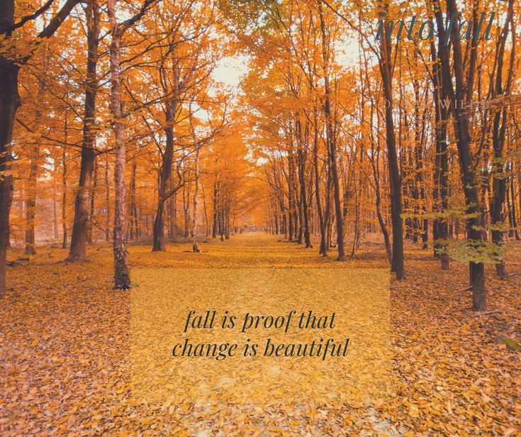 an autumn scene with the words fall is proof that change is beautiful