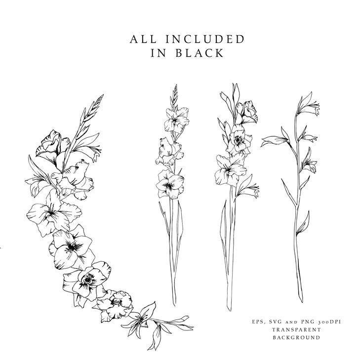 an image of flowers in black and white with the words, all included in black