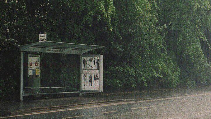 a bus stop sitting on the side of a road next to a lush green forest