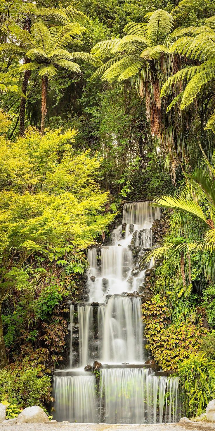 a waterfall surrounded by lush green trees and bushes