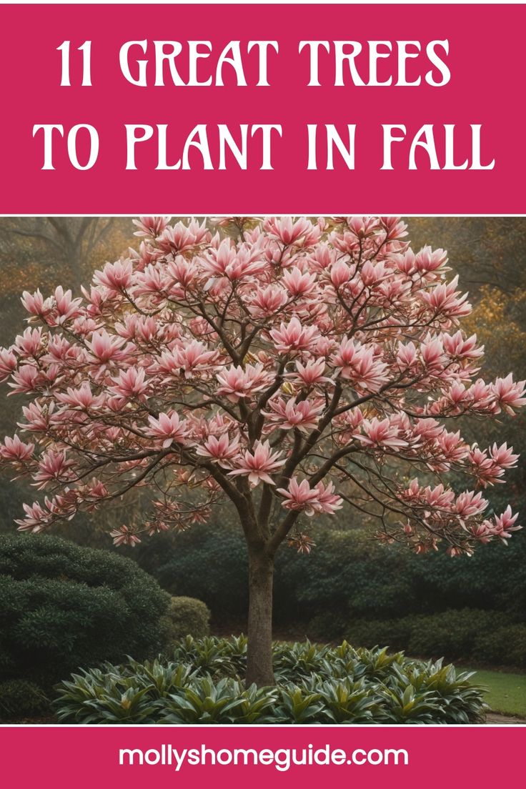 a pink tree with the words 11 great trees to plant in fall