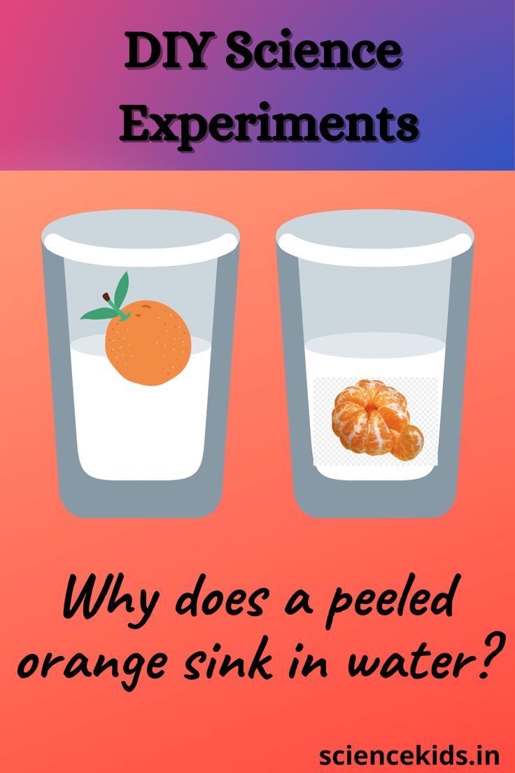 two glasses with oranges in them and the text diy science experiments why does a peeled orange sink in water?