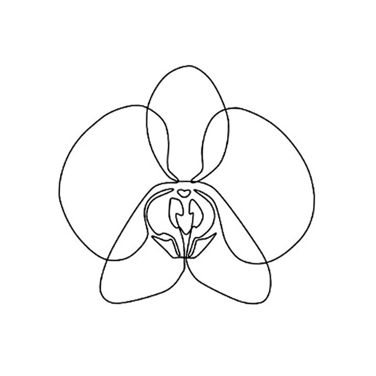 an orchid flower is shown in the shape of a line art style, on a white background