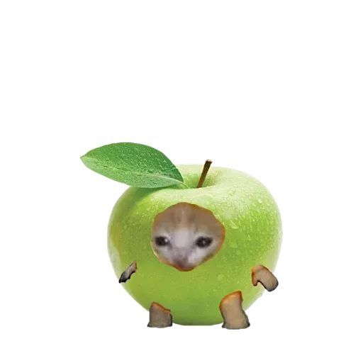 an apple with a small animal sticking out of it's side, on a white background