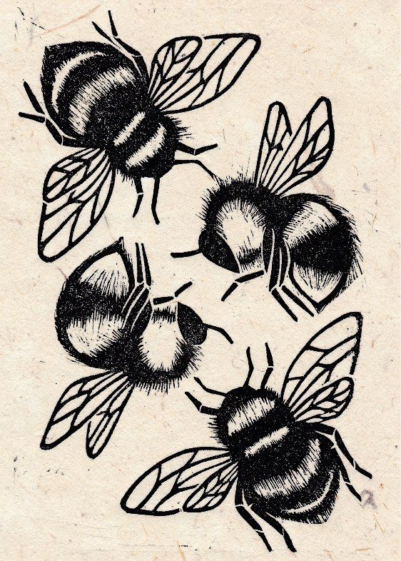 three bees are shown in black ink on white paper