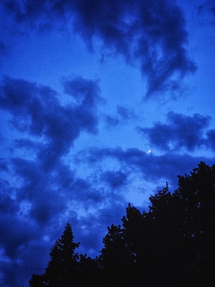 the night sky with clouds and trees silhouetted against blue hues in the foreground