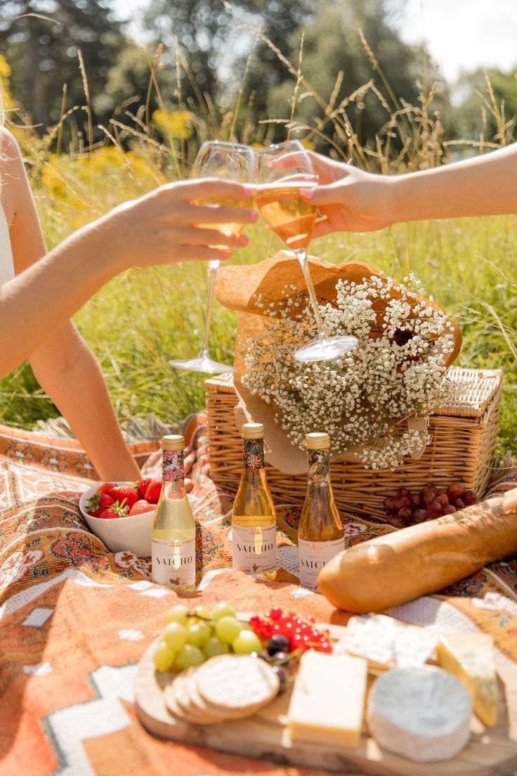 two people toasting with wine and cheese on a picnic blanket in the middle of a field