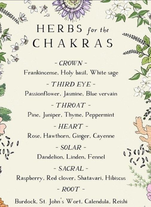 Chakra Herbs And Flowers, Tea For Chakras, Sacral Chakra Herbs, Sacral Chakra Tea, Chakra Crafts Diy, Chakra Workshop, Chakra Aesthetic, Chakra Garden, Chakra Tea