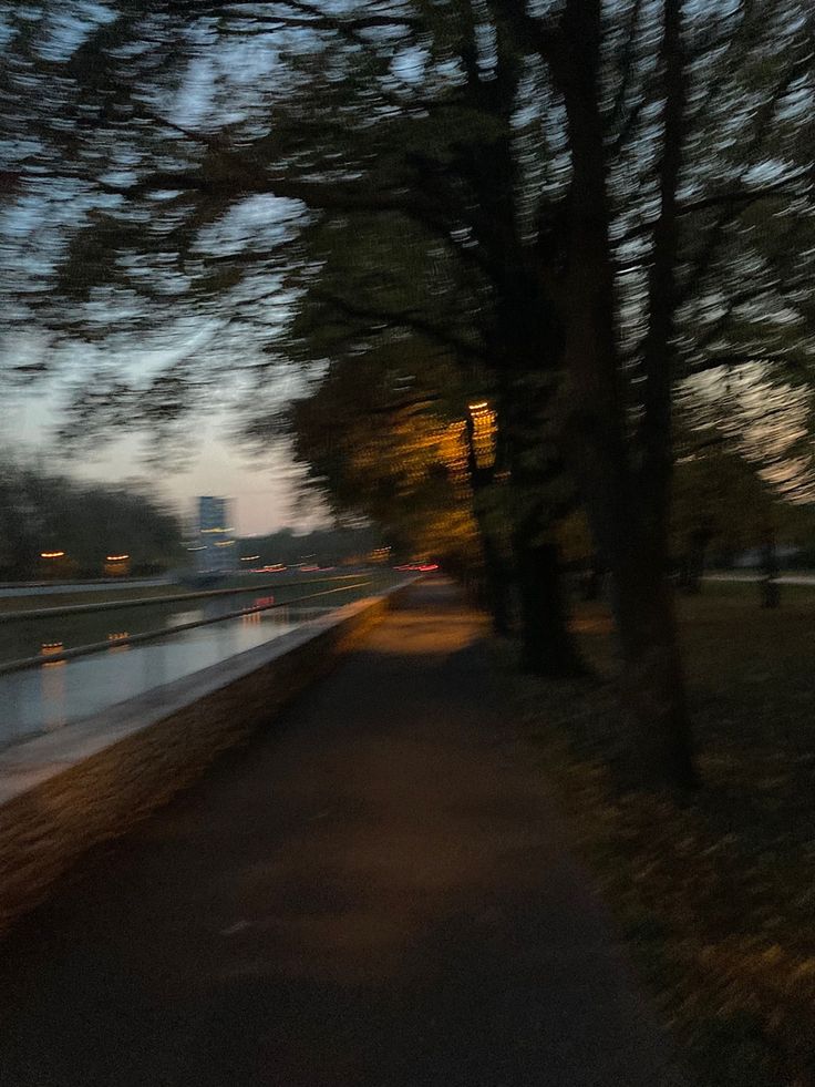 the trees are blowing in the wind on the side of the road by the water