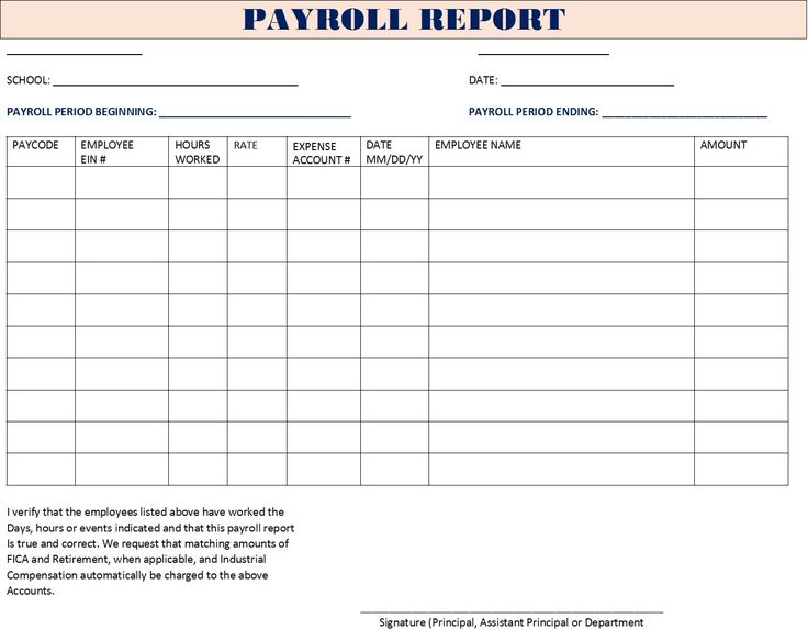 an employee's pay receipt is shown in the form of a payment sheet for employees