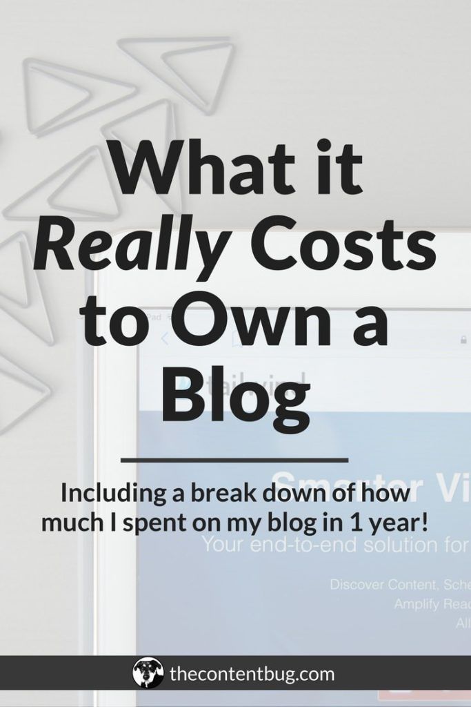 the words what it really cost to own a blog