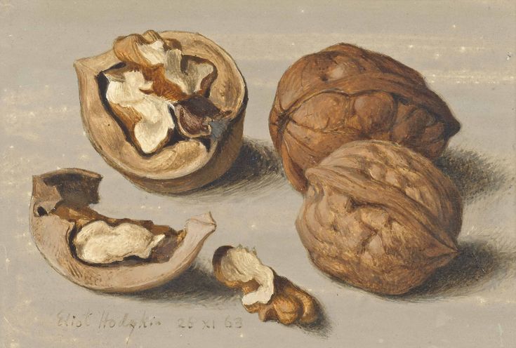 some nuts are sitting on the ground with one open and two whole ones still in their shell