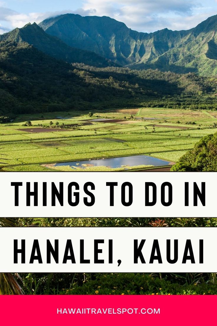 the mountains and rice fields with text overlay that reads things to do in haalei, kauai