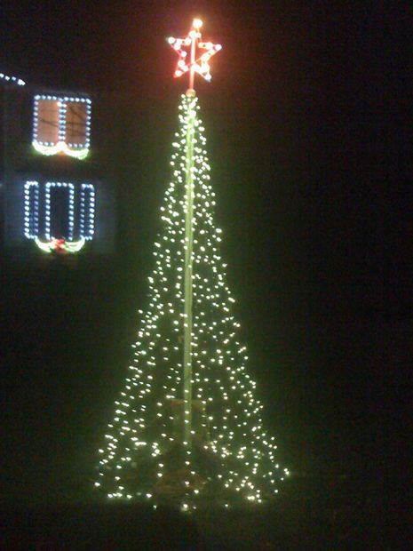 a lighted christmas tree in front of a building