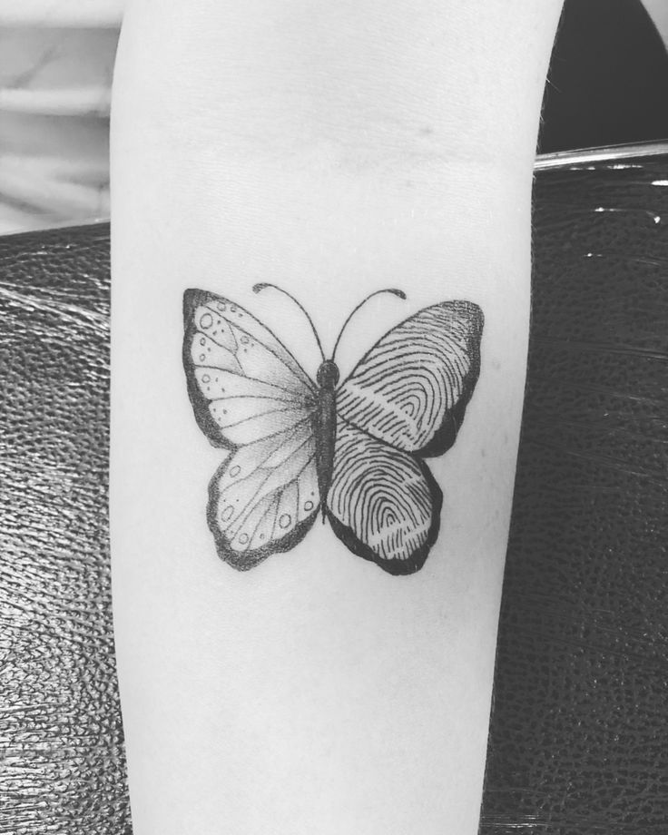 a black and white photo of a butterfly with finger prints on it's wings