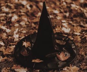 a black hat sitting on top of a pile of leaves