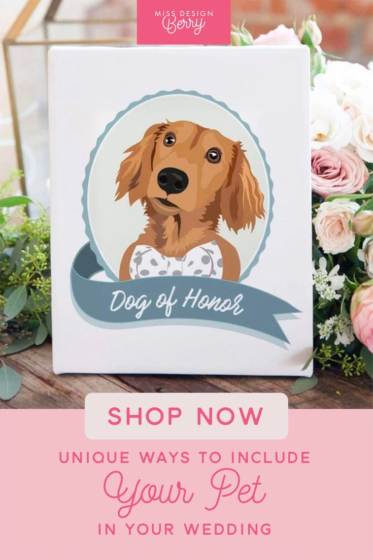 a sign with a dog on it that says, shop now unique ways to include your pet in your wedding