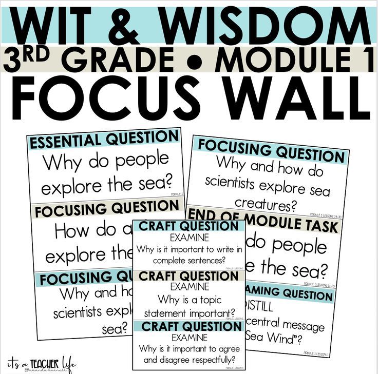 three posters with words and pictures on them that say, wit & wisdom 3rd grade module focus wall