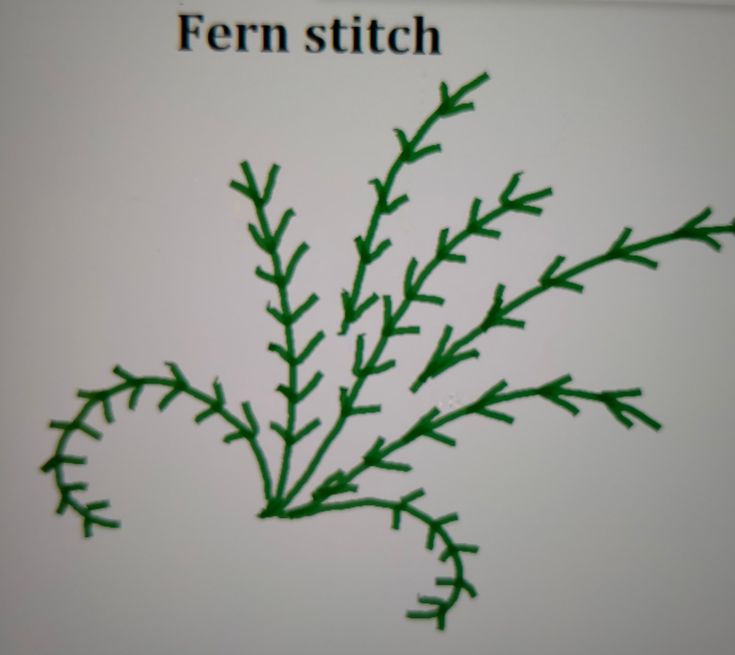 a close up of a plant with the words fern stitch on it's side