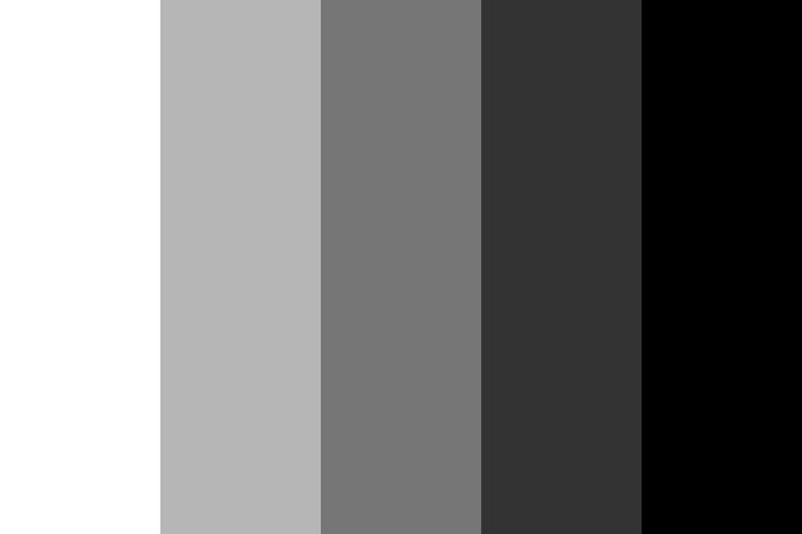 a black and white color scheme with different shades