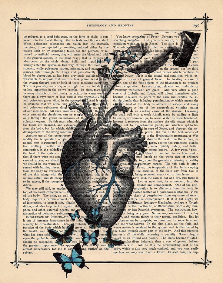 an old book page with a drawing of a human heart and butterflies flying around it