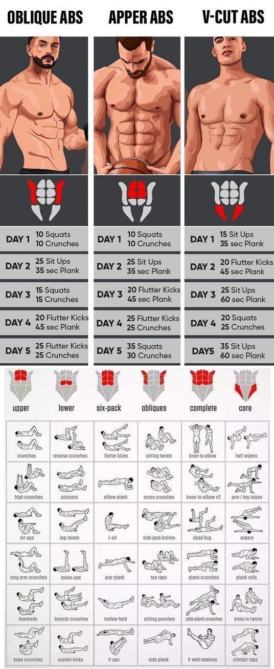 an info sheet showing how to use the dumbs for chest and upper absor