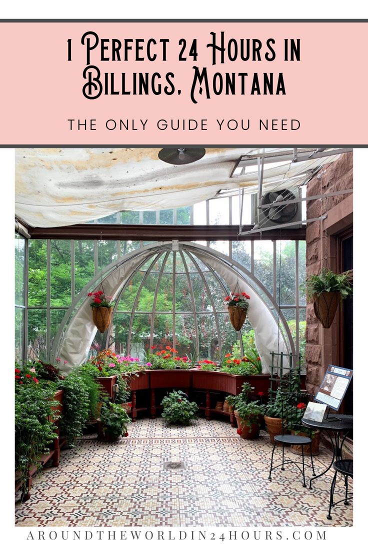 a greenhouse with potted plants inside and text overlay that reads, i perfect 24 hours in bling's montana the only guide you need