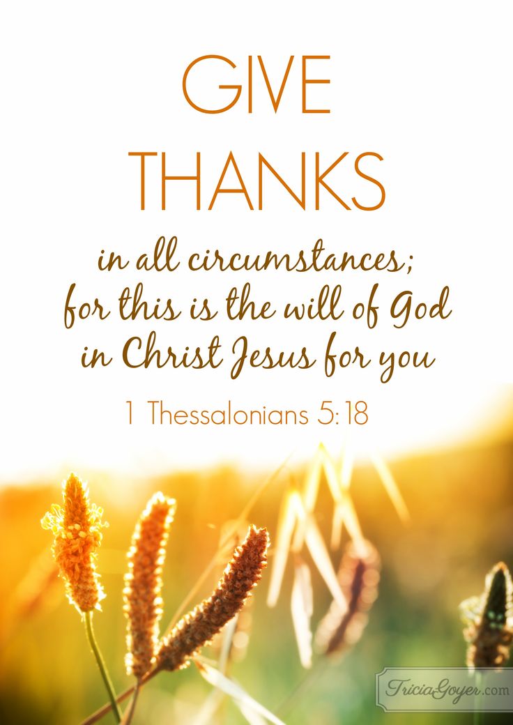 the words give thanks in all graces, for this is the will of god in christ jesus for you