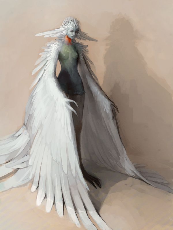 a drawing of a bird with white feathers and long tail, standing in the sand